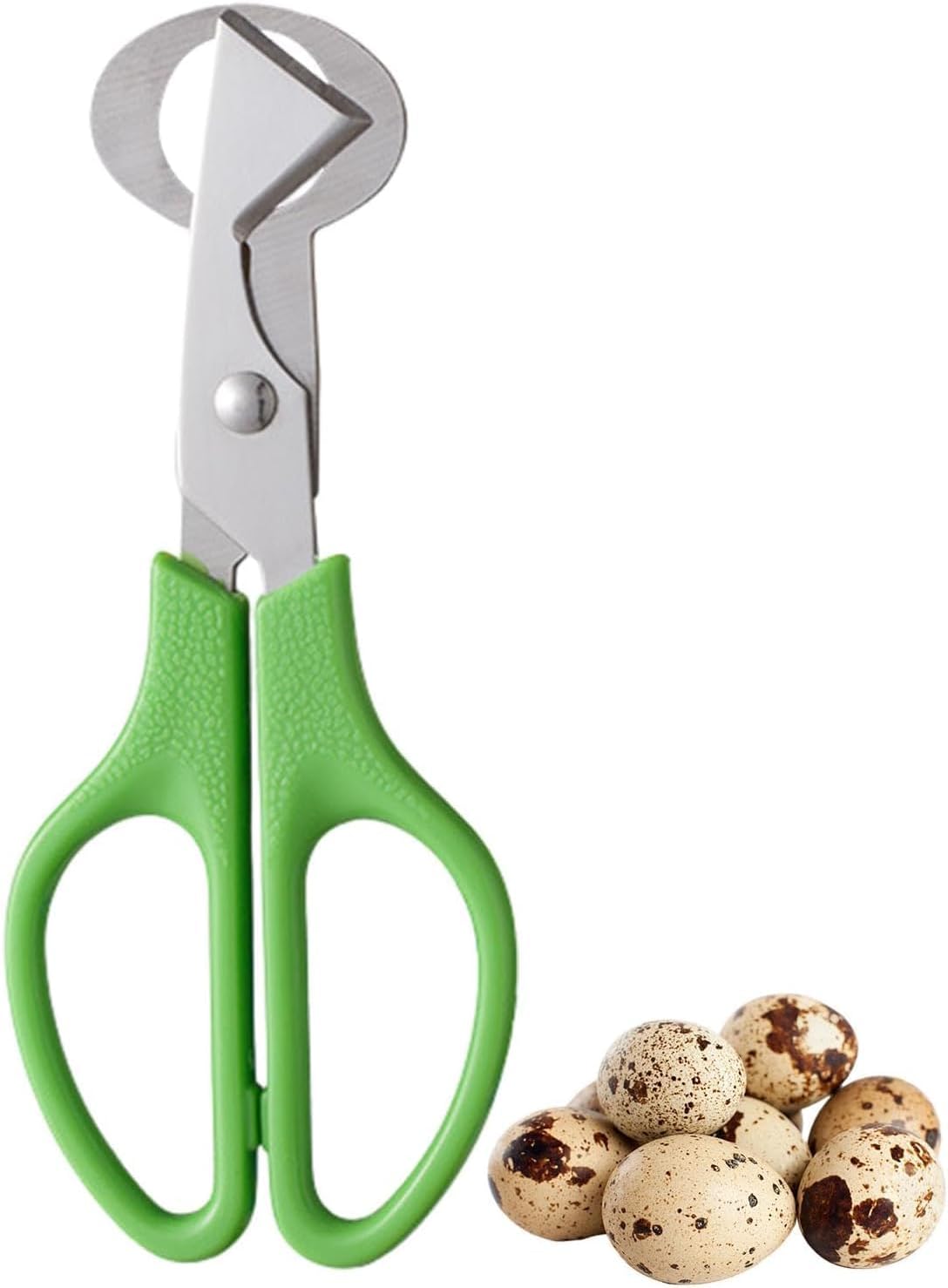 Multipurpose Green Scissors | Non-Slip Handle · Sharp & Safe · For Kitchen & Daily Use