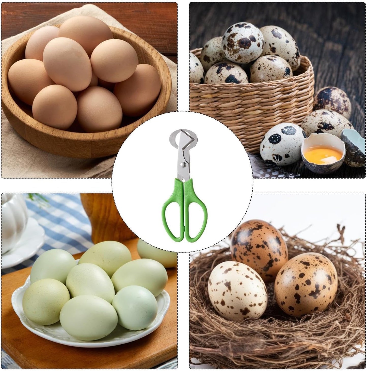 Multipurpose Green Scissors | Non-Slip Handle · Sharp & Safe · For Kitchen & Daily Use